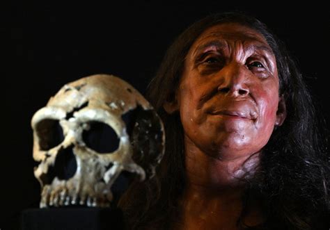 Shanidar Z Un Rostro Femenino Con Más De 75 000 Años De Historia El