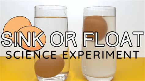 Sink Or Float Teaching Density To Children