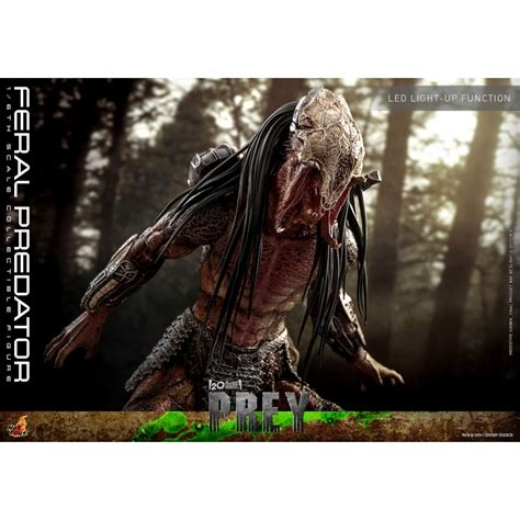 Feral Predator TMS114 Hot Toys Figure Prey