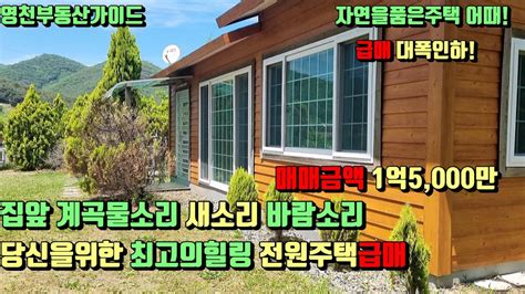 화북면 해발고도320고지 계곡물 철철흐르는 산세좋은 청정지역 아늑한마을끝자락 힐링전원주택급매276평1억5000만 매물번호