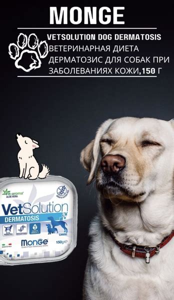 Ветеринарная диета Monge VetSolution Dog Dermatosis Дерматозис для ...