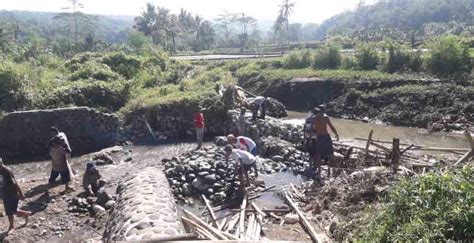 Tanggul Irigasi Jebol Puluhan Hektar Sawah Di Desa Padabunghar