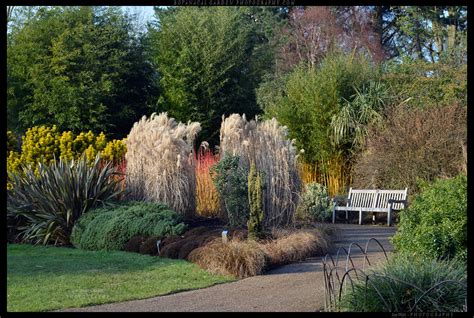 Hilliers arboretum - brooklandsplants