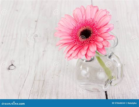 Gerbera Rosa Del Fiore In Un Vaso Di Vetro Fotografia Stock Immagine