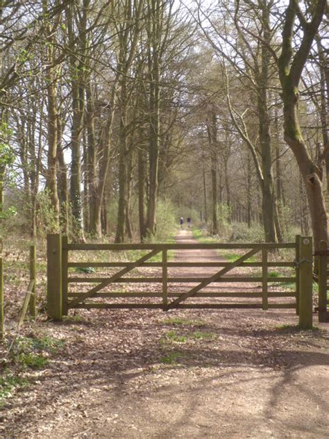 Woodland Path East Moor Banks Gordon Hatton Cc By Sa 2 0 Geograph