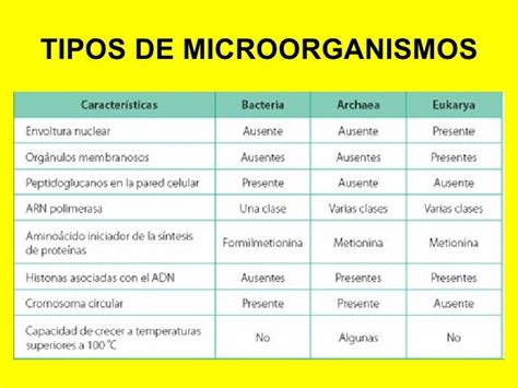 Tema 14 Microorganismos Y Formas Acelulares