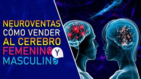 Neuroventas C Mo Vender Al Cerebro Femenino Y Masculino Youtube