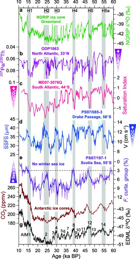 Millennium Scale Changes In Acc Strength Compared To Paleoclimatic