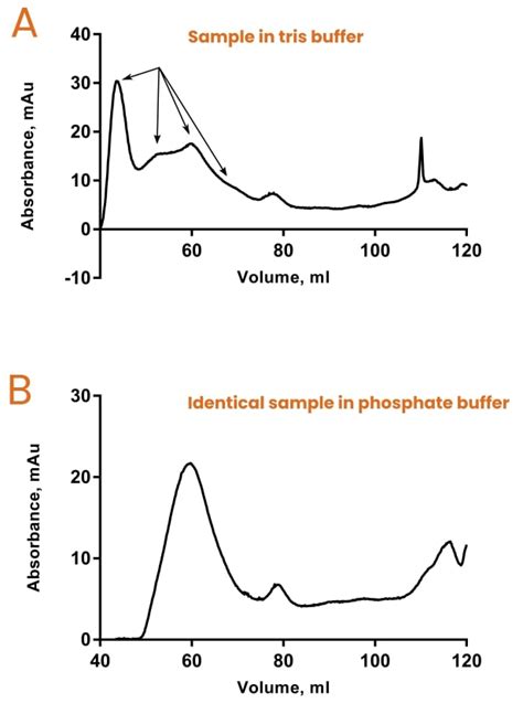 Size Exclusion Chromatography Molecular Weight In 4 Steps