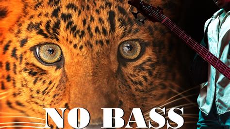 Bass Backing Track Ludicrous Acid Funk E Minor E Phrygian