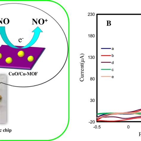 A Schematic Representation Of Electrocatalytic Oxidation Of No On