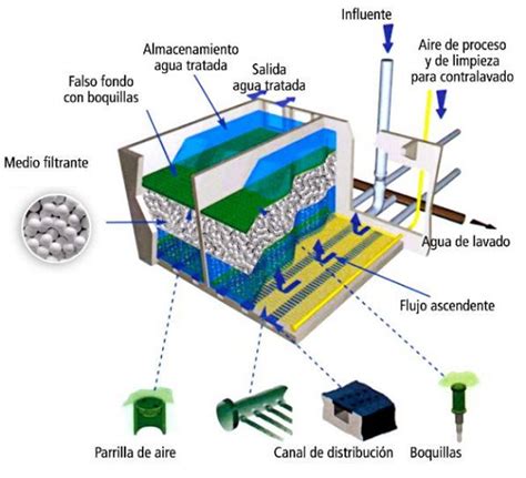 Biofiltraci N De Aguas Residuales Soluciones Ecol Gicas Y Efectivas