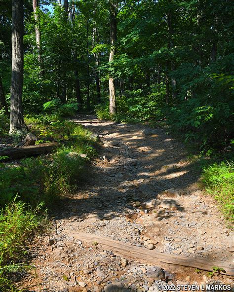 Catoctin Mountain Park | THURMONT VISTA LOOP HIKE