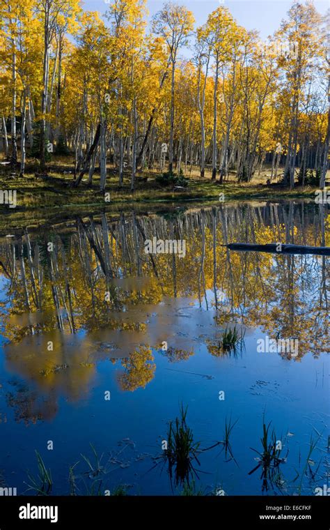 Sevier lake hi-res stock photography and images - Alamy