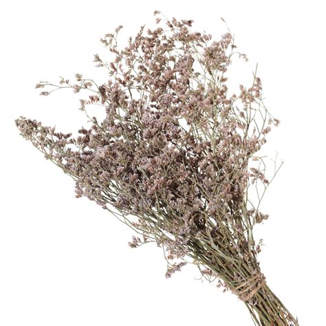 Лимониум в букете - 61 фото