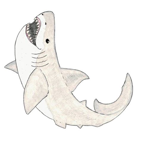 Great White Shark Coloring Pages (Free Printable PDF)