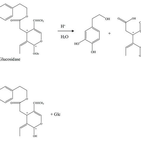 The Hydrolysis Progress Of OA By Glucosidase The Glucosidase