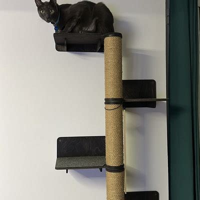 Cat Tree for Large Cats Cat Tree for Big Cats Large Cat Tree Large Cat ...