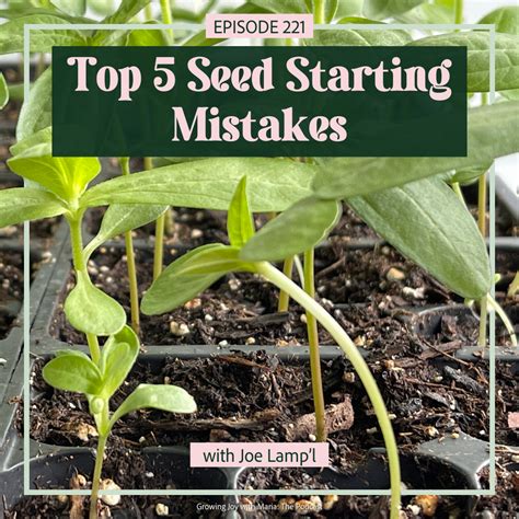 Top 5 Seed Starting Mistakes with Joe Gardener, Ep 221 - Growing Joy ... 
