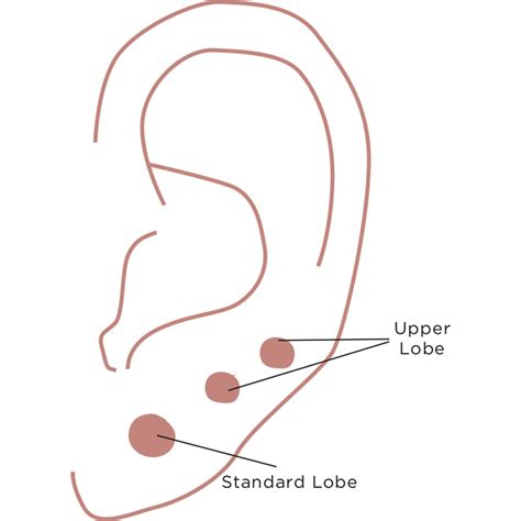 The Ultimate Piercing Size Guide Types Sizes And Fitting