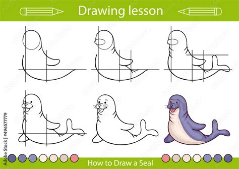 Tutorial how to draw a seal. Drawing lesson step by step. Educations ...