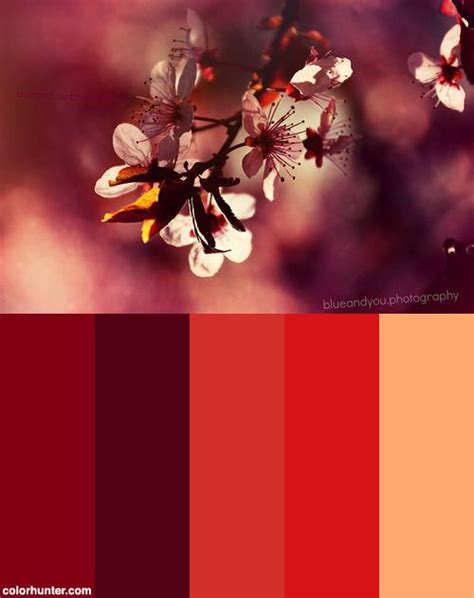 Sakura Color Palette | Color palette, Sakura, Color