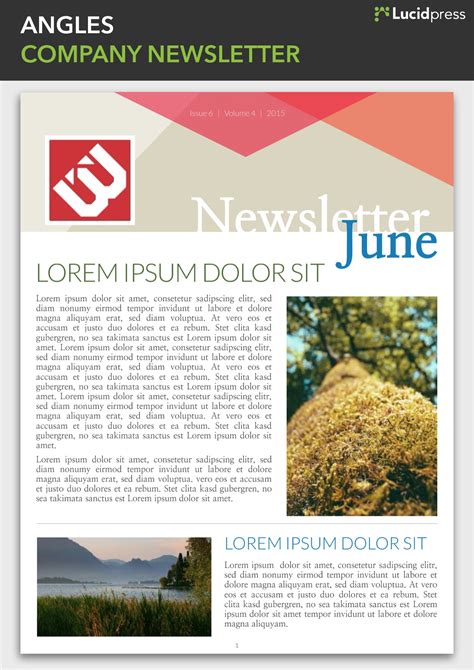 Best Newsletter Design Ideas To Inspire You Lucidpress