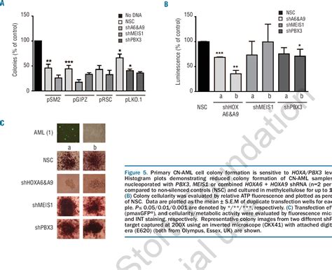 Figure From Hoxa Pbx Knockdown Impairs Growth And Sensitizes