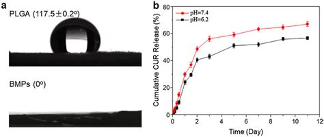 A Water Contact Angles Of Pure PLGA Powder And BMPs B Release