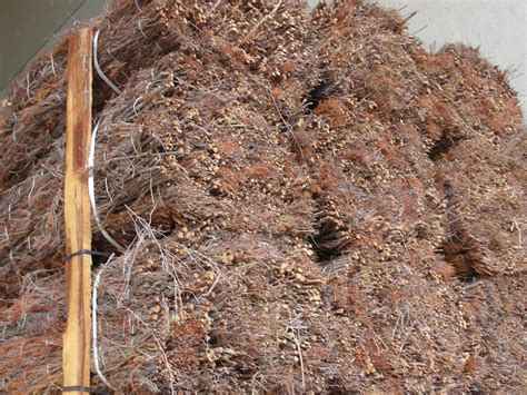 Brezo Extra | Masecor