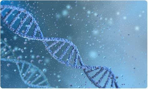 What is Genetics? | The Study of Heredity 