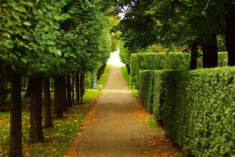 Hedge Trimming – Urban Eden Landscaping