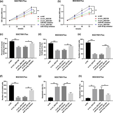 Inhibition Of MiR 16 5p Reversed The Effects Of Circ 002136 Knockdown