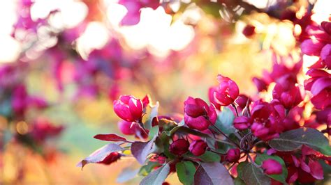 2024 Bill Irwin Bursary - Welch LLP