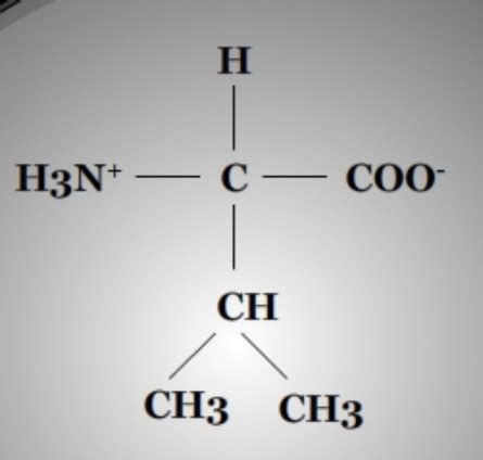 Biochemistry Amino Acids Flashcards Quizlet