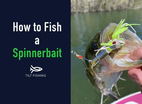 What Is A Spinnerbait And How To Fish One Like A Pro Tilt Fishing