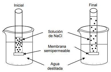 El Esquema Representa La Situaci N Inicial Y Final De Un Sistema