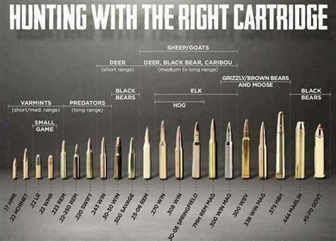 Can we talk about gun calibers?