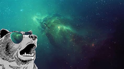 Space Bears Sunglasses Wallpapers Hd Desktop And Mobile Backgrounds