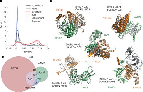 Application Of AlphaFold2 Complex Predictions To A Large Dataset Of