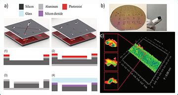 A Microchip Based Electrokinetic Biosensor For Profiling Of