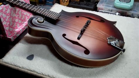 The Loar LM 310 Mandolin Review Perfect For Guitarists Beginners