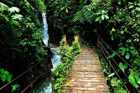 Mindo Cloud Forest Daily Tour Nomadtrek Tour Operator