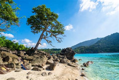 Sabang, Aceh has a lot to offer for marine tourism - News - The Jakarta ...