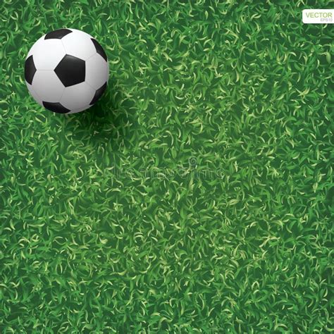 Soccer Football Ball On Green Grass Of Soccer Field Background Vector Stock Illustration