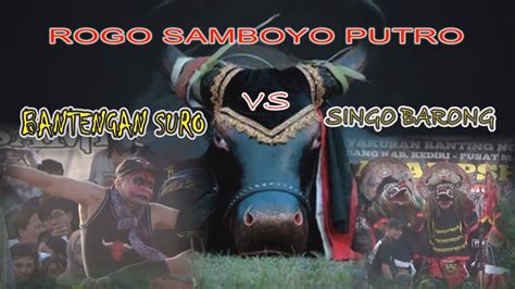 Rogo Samboyo Putro Banteng Sur Vs Singo Barong Viral Youtube