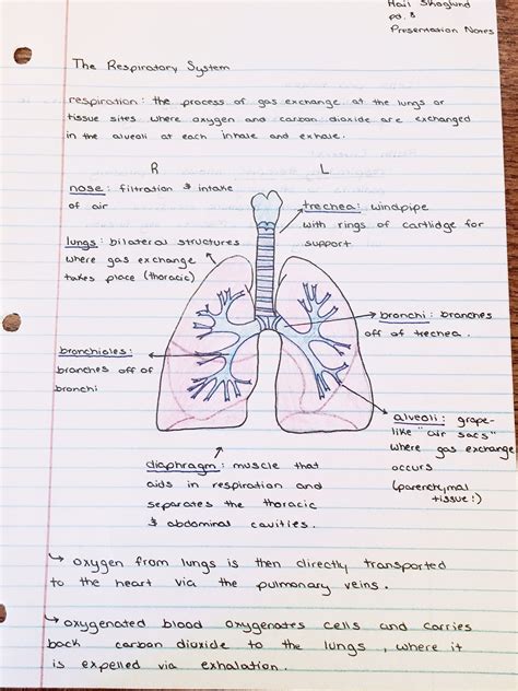 Pin By Hail On Notes Nurse Study Notes Medical School Essentials