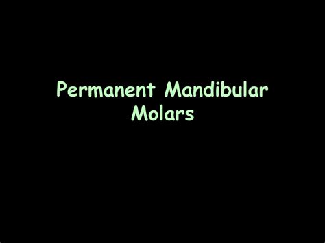 Ppt Permanent Molars Powerpoint Presentation Free Download Id 421601