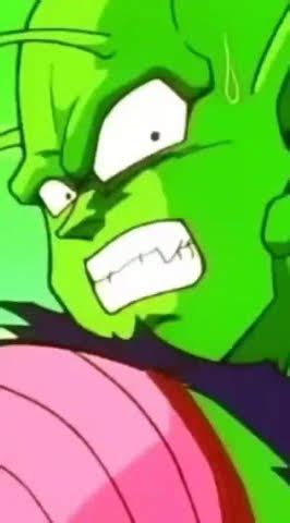 Piccolo Gets Called Gay Youtube