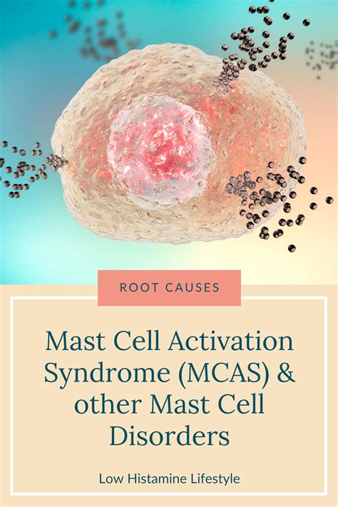 Mast Cell Activation Syndrome (MCAS) & other Mast Cell Disorders